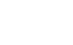 Dzikie Ptaki Logo